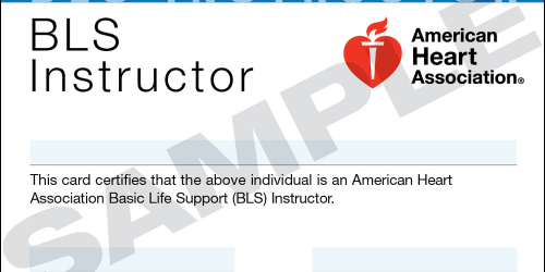 Basic Life Support & CFR Community Instructor Course